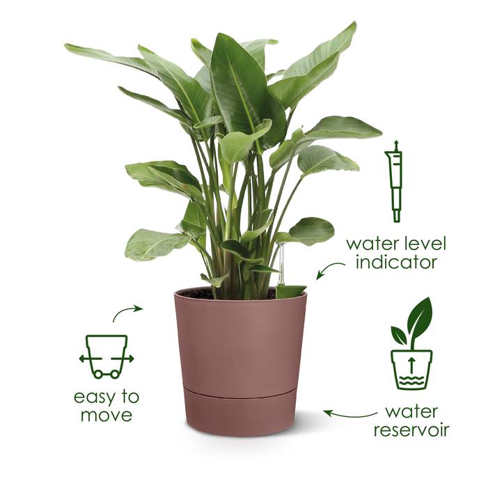 greensense aqua care round 35cm clay brown